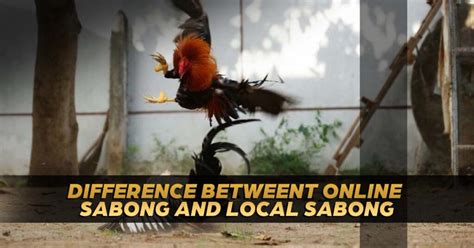 sabong net|live sabong in the philippines.